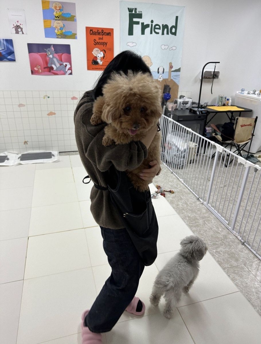 리뉴얼 전 모습
